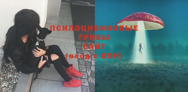 мяу мяу мука Богданович