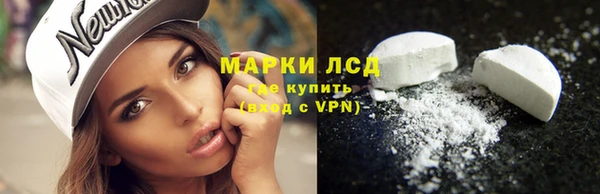 дмт Белокуриха