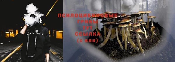 твердый Богородицк