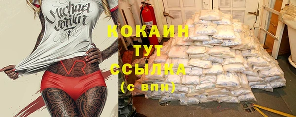 твердый Богородицк