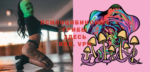 дмт Белокуриха